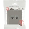 Миниатюра фото розетка эра arktik 16-3108-07 информационная двойная 2xrj45 титан б0070490 | 220svet.ru
