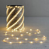 Миниатюра фото гирлянда роса про 1м тепло-белая 24в, 10 led, провод прозрачный пвх, ip65 ltc rpro10-1m-1ww | 220svet.ru