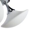 Миниатюра фото потолочная люстра arte lamp soffione a2550pl-3cc | 220svet.ru