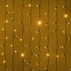 Миниатюра фото гирлянда занавес 2x2м желтый 220в провод черный каучук ip65 ltc eco402-1-2y | 220svet.ru