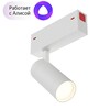 Миниатюра фото трековый светильник denkirs smart dk8010-wh | 220svet.ru