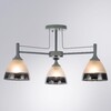 Миниатюра фото потолочная люстра arte lamp fiamma a3521pl-3cc | 220svet.ru