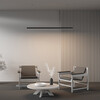 Миниатюра фото линейный светильник maytoni подвесные линейные светильники ll312014 | 220svet.ru