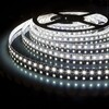 Миниатюра фото светодиодная лента elektrostandard 9,6w/m 120led/m 2835smd холодный белый 5m a052961 | 220svet.ru