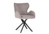 Миниатюра фото стул на металлокаркасе woodville карлайл латте brendy smoke 04 / черный 615182 | 220svet.ru